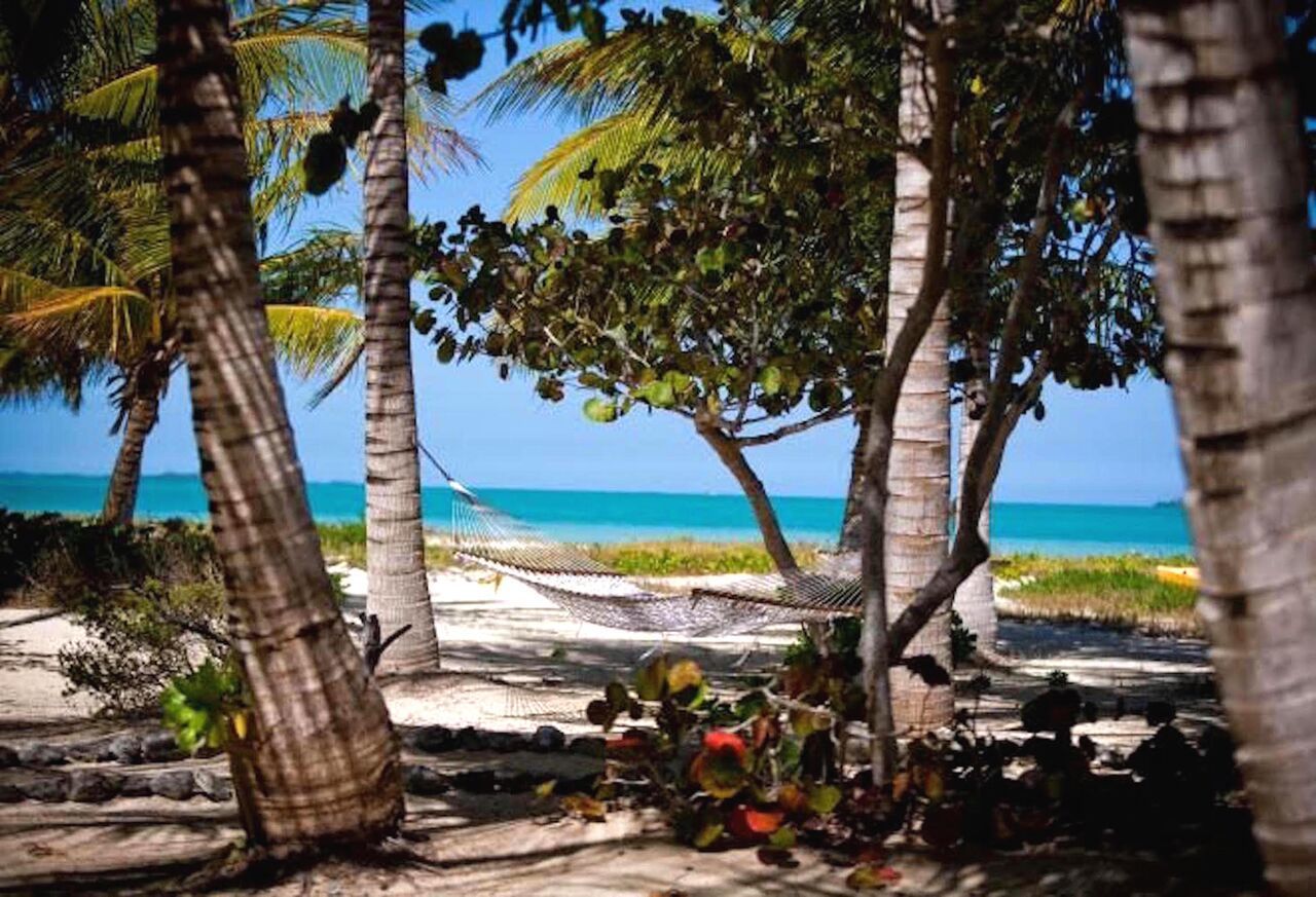 Отель Kamalame Cay Staniard Creek Экстерьер фото